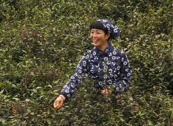 伊人app色淫直播观看入口 直播